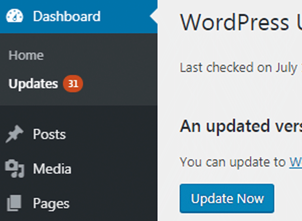 Image of updates to make in a WordPress site